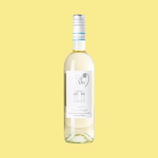 Ca' di Alte Pinot Grigio 2024