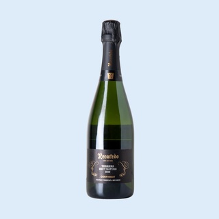 Recaredo 'Terrers Brut Nature' Sparkling 2019