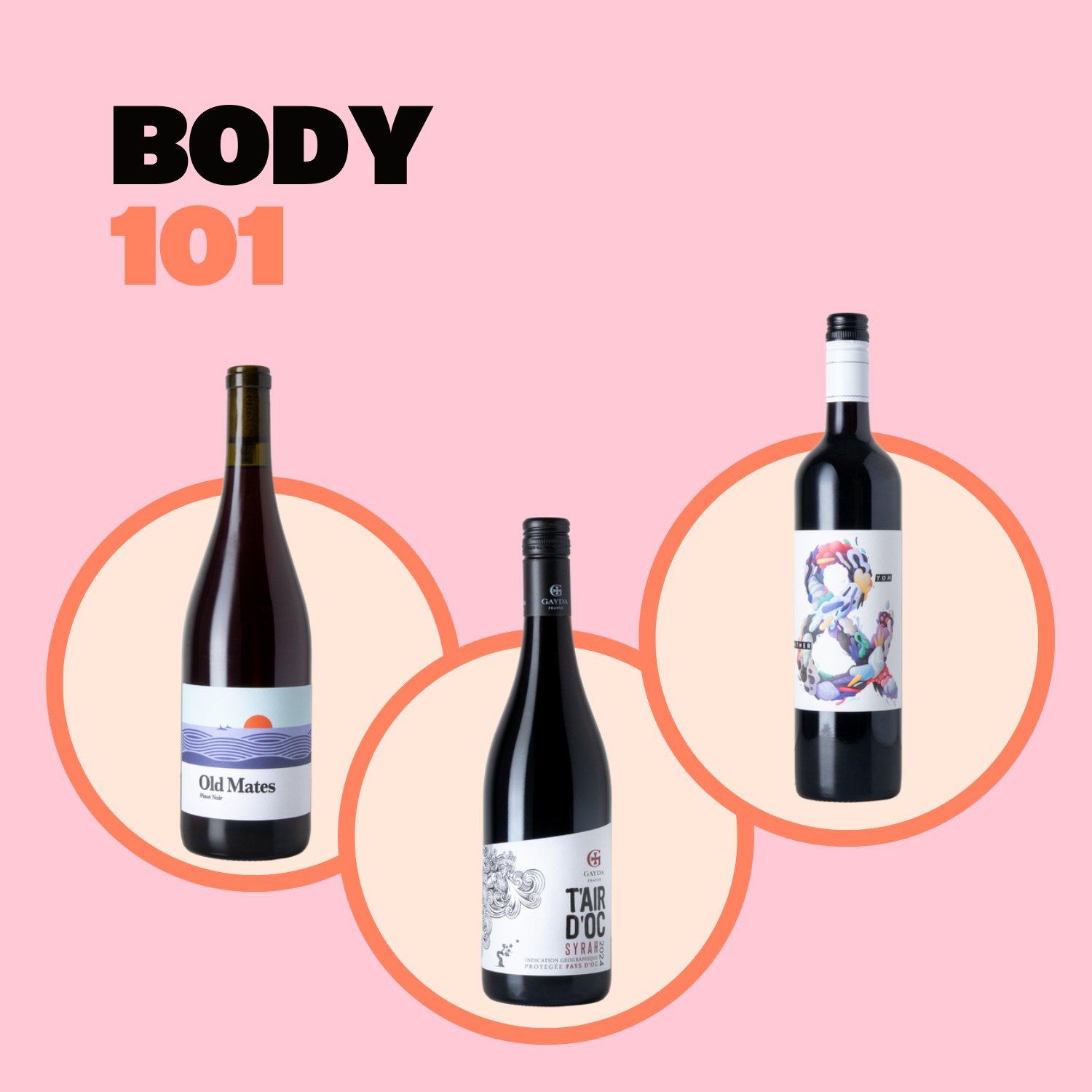 Body 101