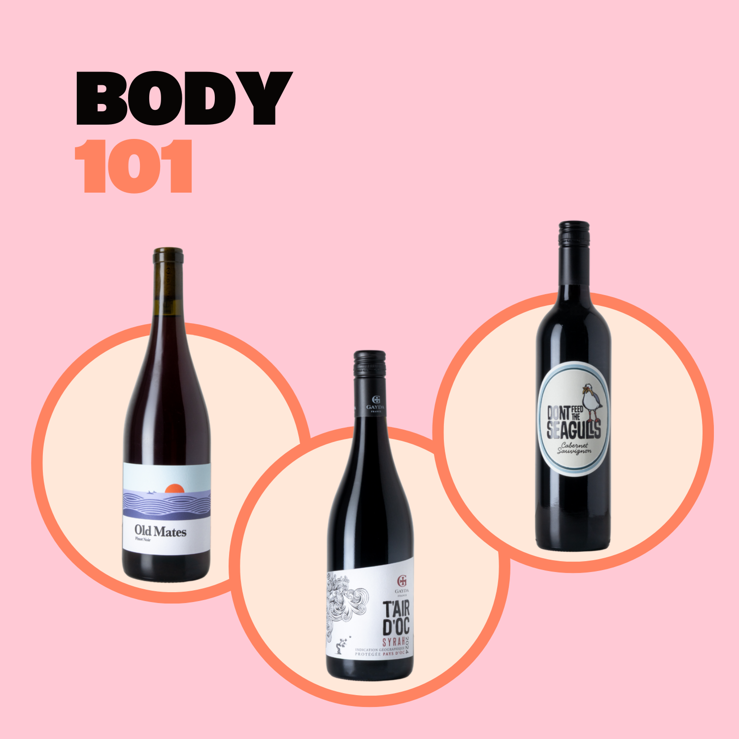 Body 101