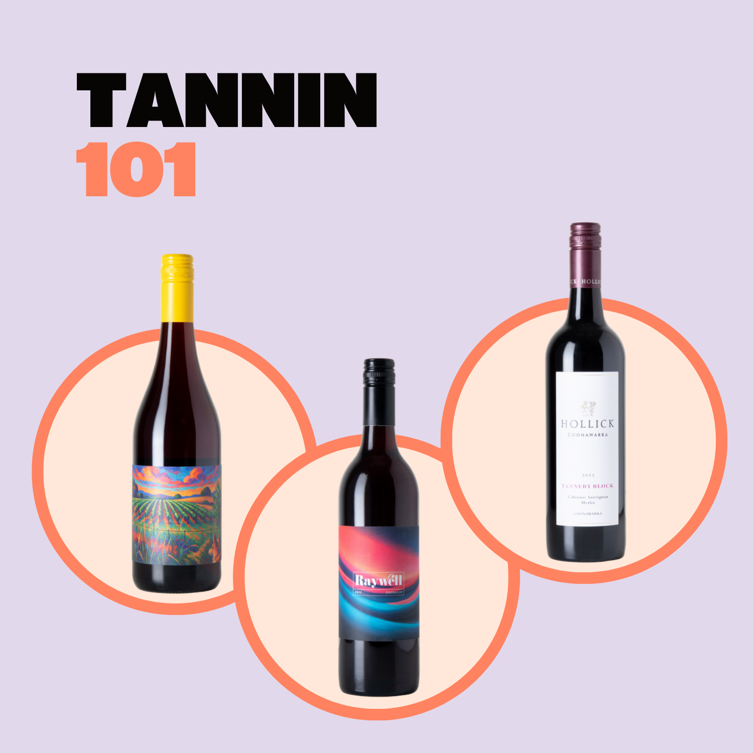 Tannins 101