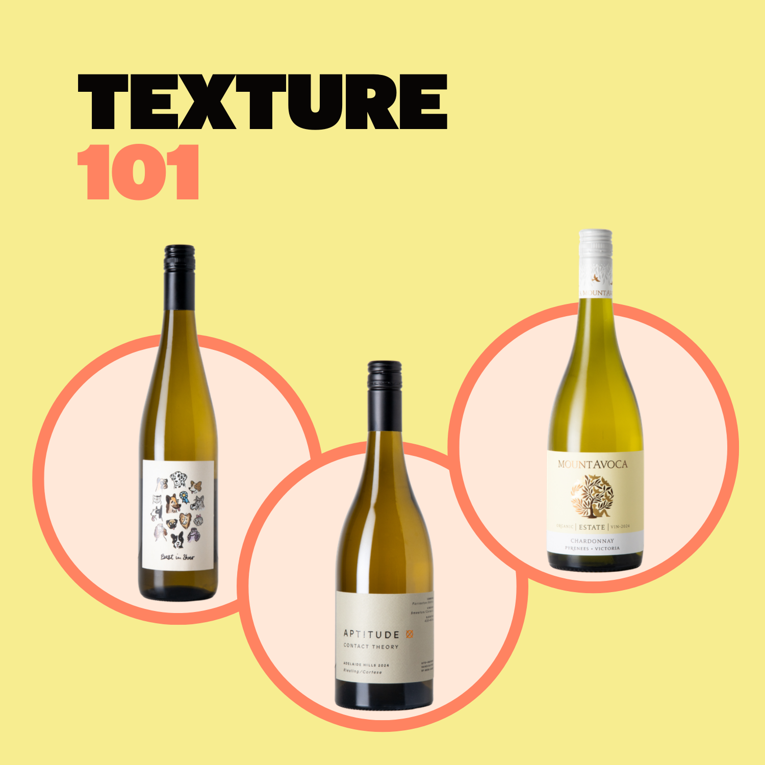 Texture 101