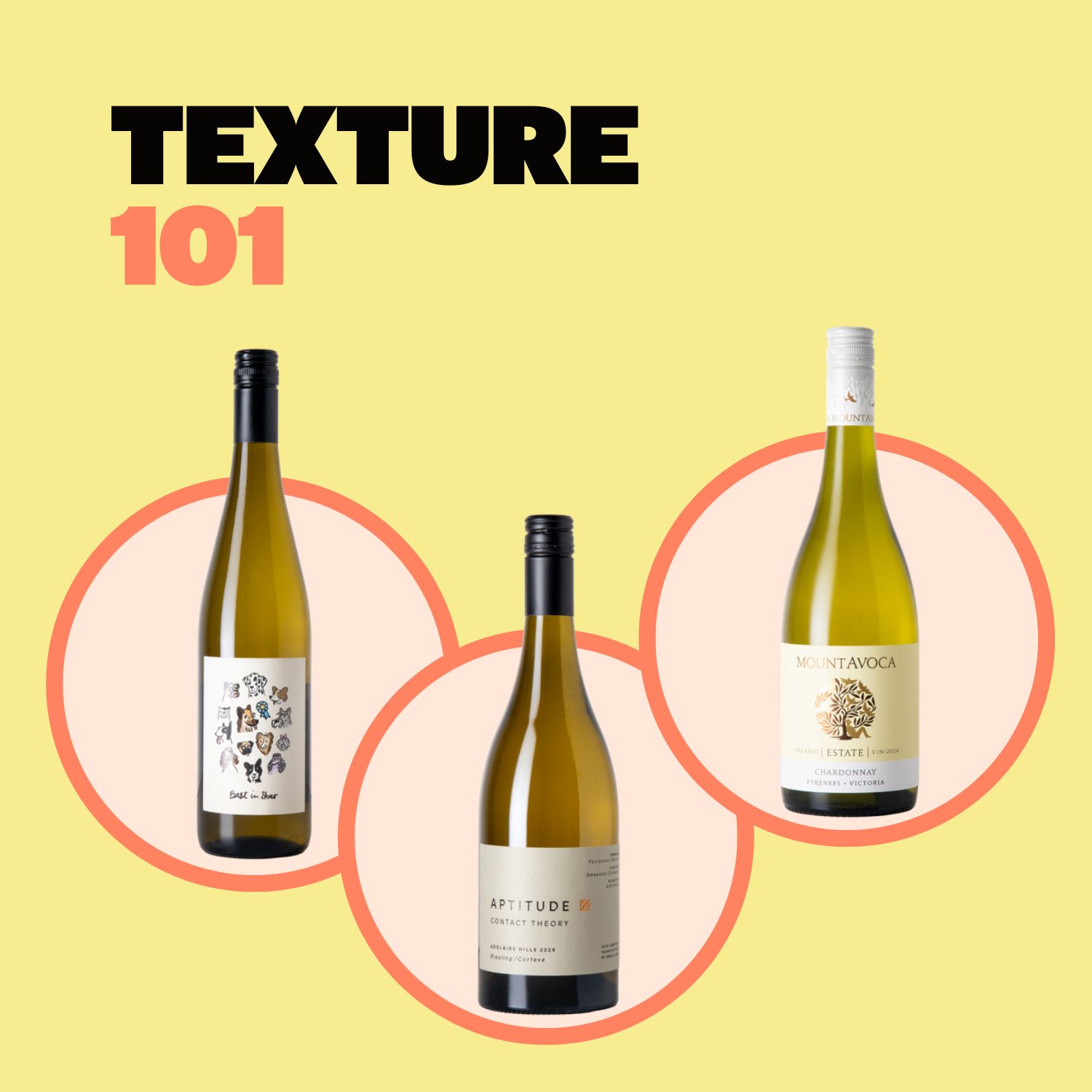 Texture 101